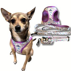 NEW Purple Pet Harness Set | XS–XL | Fast 24-Hour Shipping | Jazzy Pet Paws